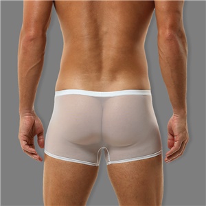 Men's Sexy Transparent Trunks Underwear Ultra-Thin See-Through Boxer Briefs Mesh Elephant Nose Panties