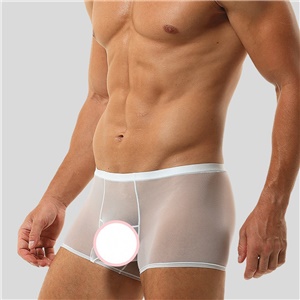 Men's Sexy Transparent Trunks Underwear Ultra-Thin See-Through Boxer Briefs Mesh Elephant Nose Panties