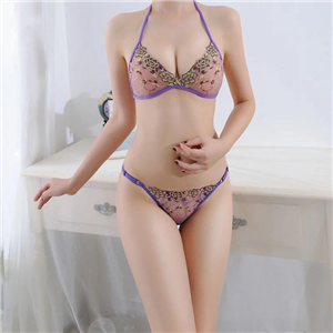 New arrival mesh embroidery inner wear French underwear strap bra set young ladies sexy cute 672AA