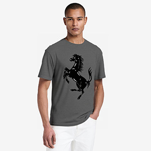 horse  DTG pure cotton t-shirts