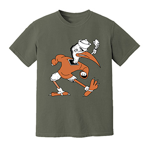 miami hurricanes   DTG pure cotton t-shirts