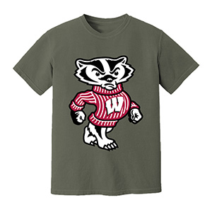 wisconsin-badgers   DTG pure cotton t-shirts
