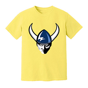 Vikings  DTG pure cotton t-shirts