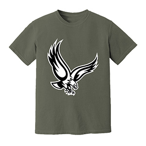 Hawk boston college eagles  DTG pure cotton t-shirts