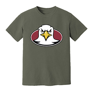 Hawk boston college eagles  DTG pure cotton t-shirts