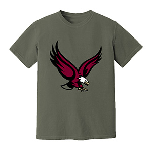 Hawk boston college eagles  DTG pure cotton t-shirts
