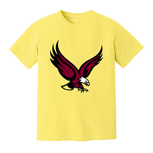 Hawk boston college eagles  DTG pure cotton t-shirts