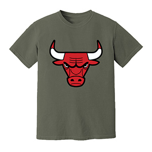 Chicago bulls   DTG pure cotton t-shirts